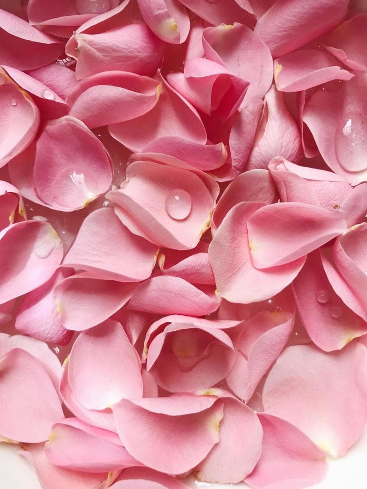 Agua de rosas